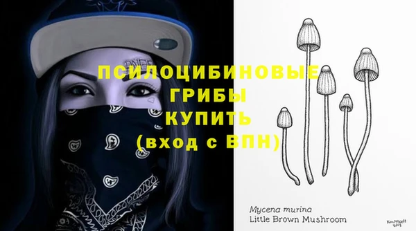 apvp Майский