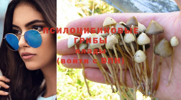 синтетический гашиш Медногорск