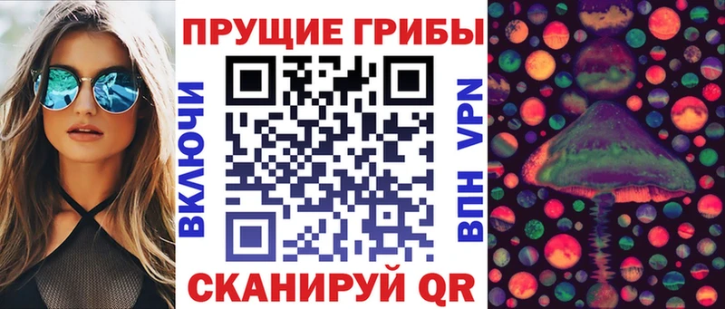Купить где  Нарткала  Галлюциногенные грибы MAGIC MUSHROOMS 